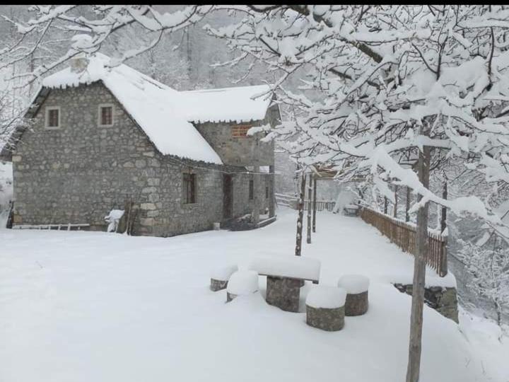 Guest House Gjelaj Theth Exterior foto