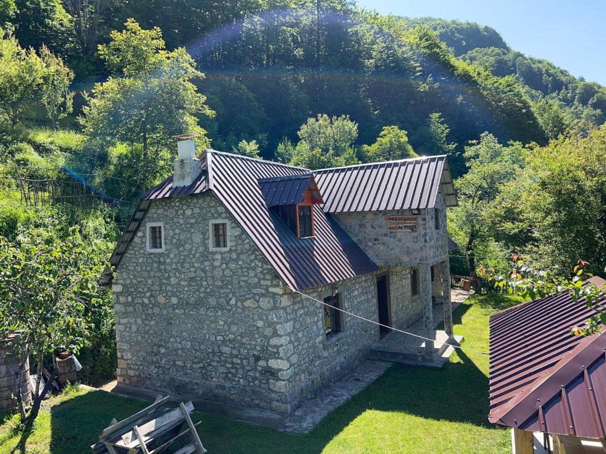 Guest House Gjelaj Theth Exterior foto